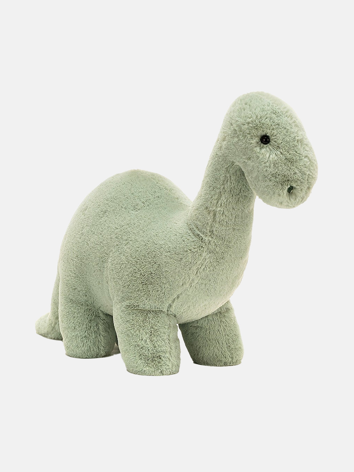"Fossilly" Brontosaurus Plush Toy