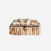 Pecten & Turritella Mixed Shell Box