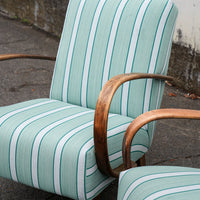 Halabala Chair in Tensira Palmier