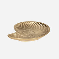 Golden Snail Tray