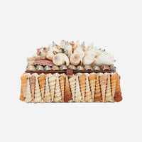 Turritella Mixed Shell Box