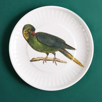 Large Parrot Plate