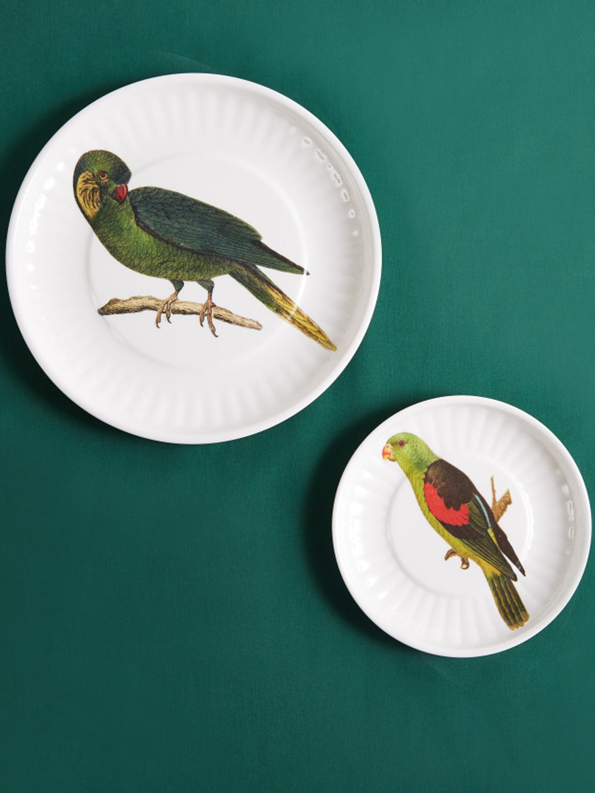 Small Parrot Plate, Set of 4