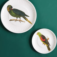 Small Parrot Plate, Set of 4