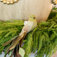 Green Feathered Bird Clip