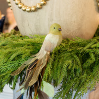 Green Feathered Bird Clip