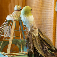 Green Feathered Bird Clip