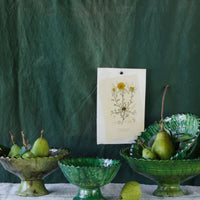 Green Tamegroute Compote