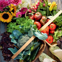 The Wishbone Kitchen Cookbook