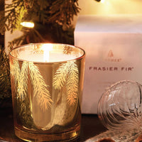 Frasier Fir Gilded 13 oz Poured Candle