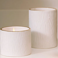 Frasier Fir Ceramic Medium Candle