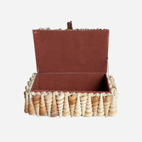 Pecten & Turritella Mixed Shell Box