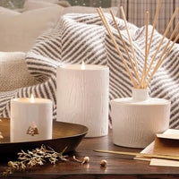 Frasier Fir Ceramic Medium Candle