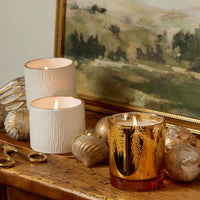 Frasier Fir Gilded Gold Poured Candle