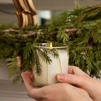 Frasier Fir Pine Needle Candle