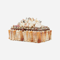 Turritella Mixed Shell Box