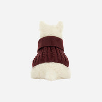 Munro Scottie Dog Winter Jumper Outfit