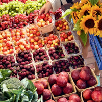 The Wishbone Kitchen Cookbook