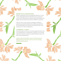 The Herbal Sutra Book