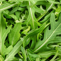 Archipelago Arugula Reed Diffuser