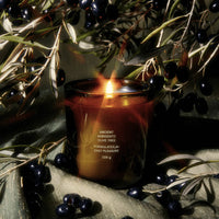 Olive Tree Candle