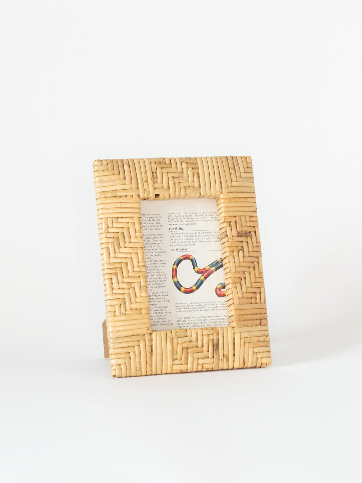 Small Rattan Woven Frame