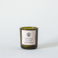 Climbing Tuscan Rosemary Candle