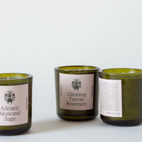 Adriatic Muscatel Sage Candle