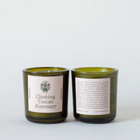 Climbing Tuscan Rosemary Candle