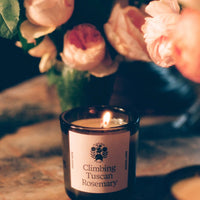 Climbing Tuscan Rosemary Candle