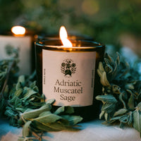 Adriatic Muscatel Sage Candle