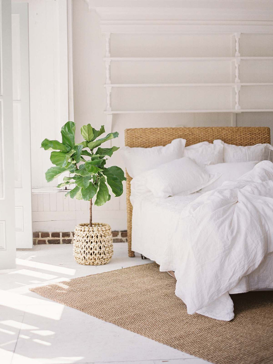 Seagrass vs. Jute Celadon at Home