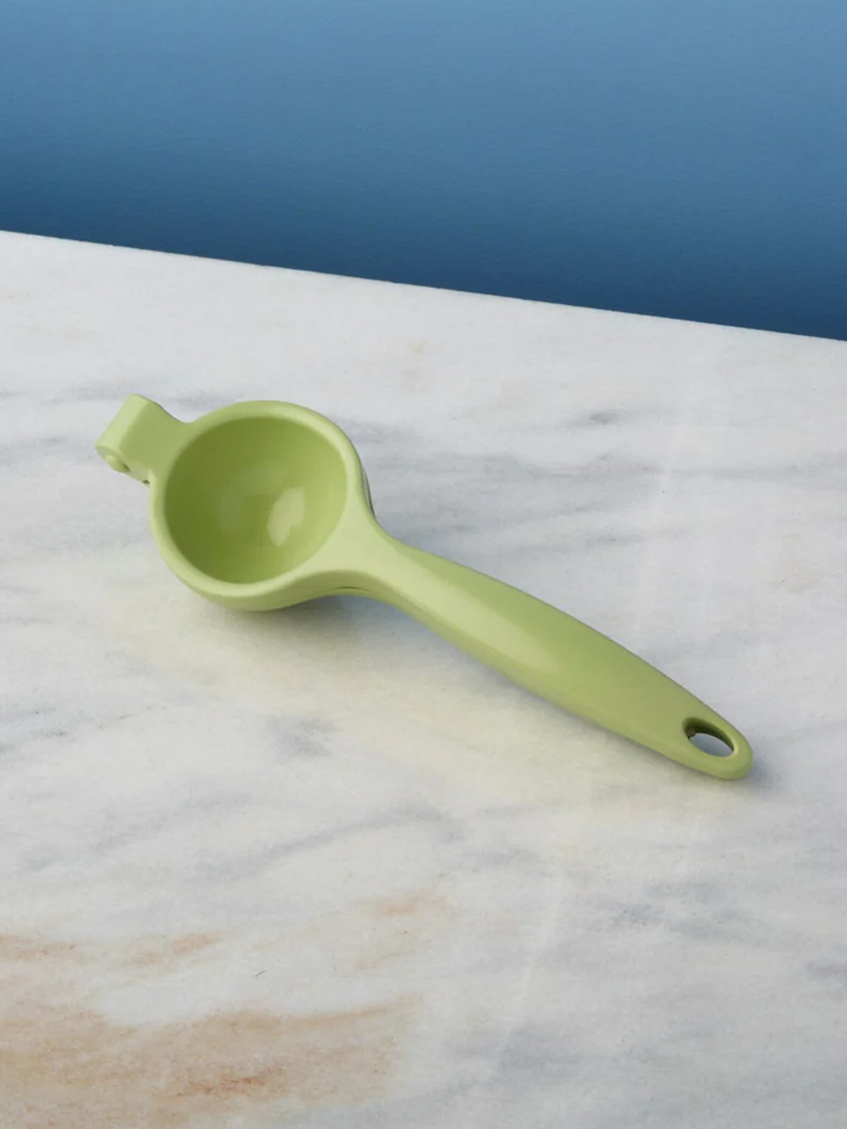 Lime Citrus Press