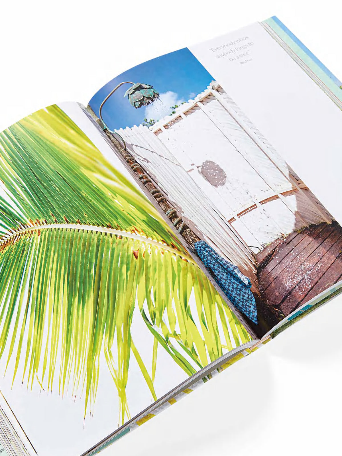 Island Whimsy Book