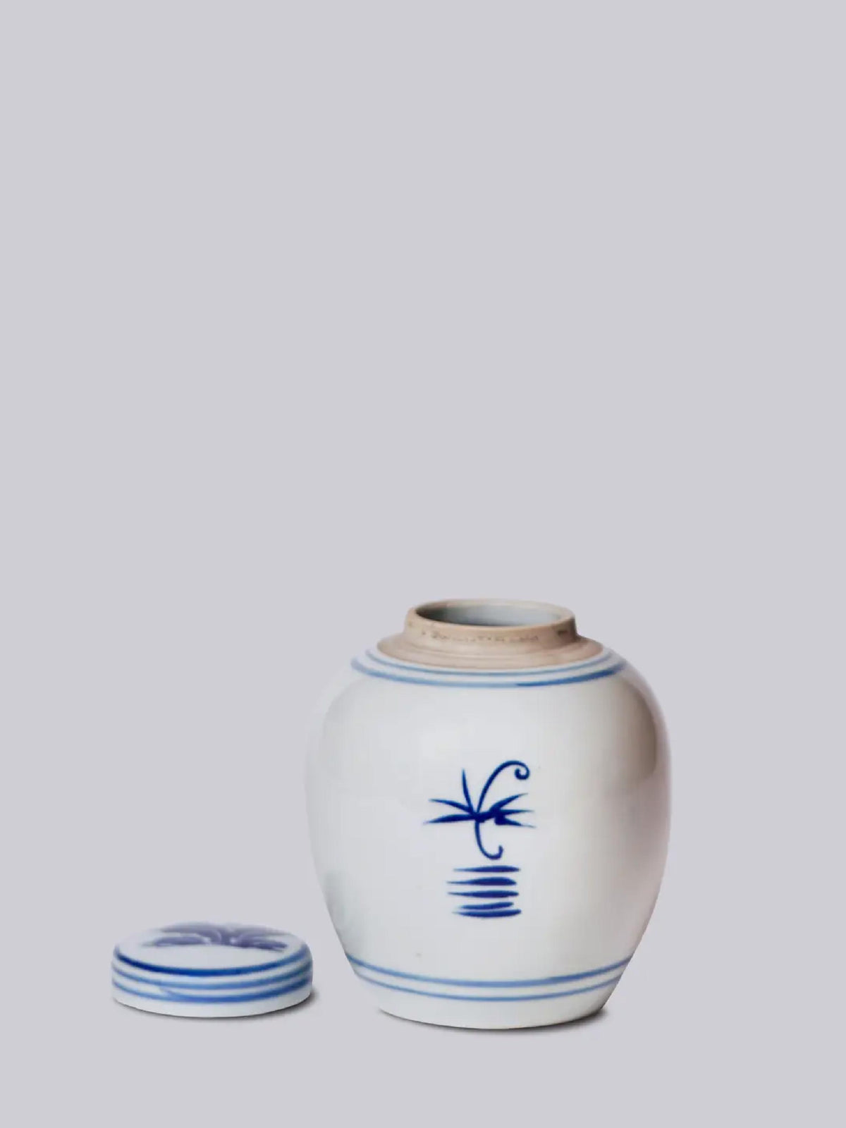 Blue and White Porcelain Abundant Peony Jar