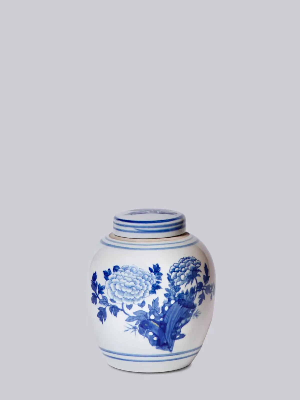 Blue and White Porcelain Abundant Peony Jar