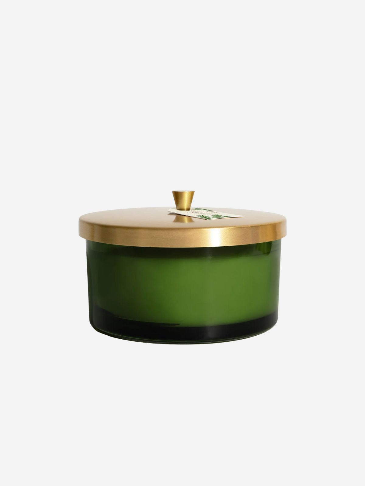 Frasier Fir Green 4-Wick Candle