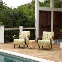 Halabala Chair in Sharifa Parrot