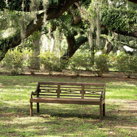 Antique Javanese Daybed