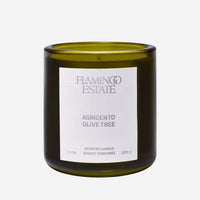 Olive Tree Candle