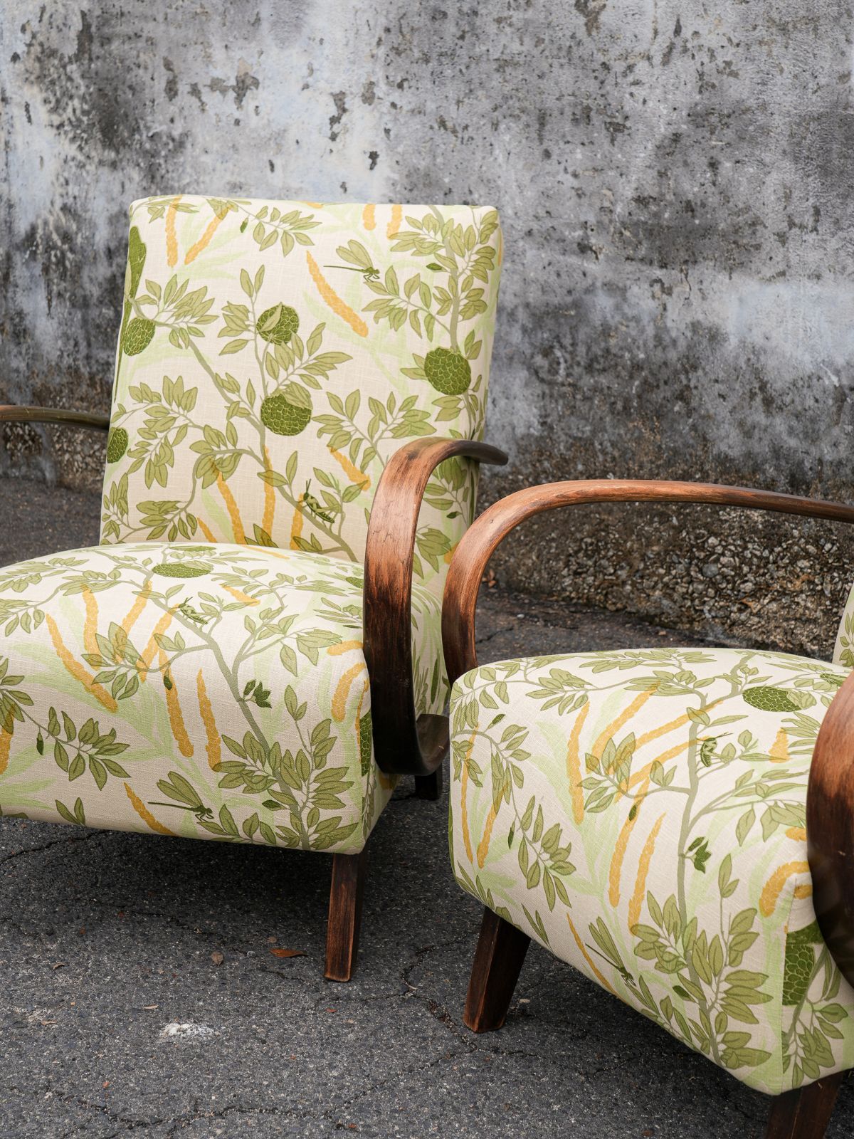 Halabala Chair in Sharifa Parrot