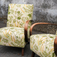 Halabala Chair in Sharifa Parrot