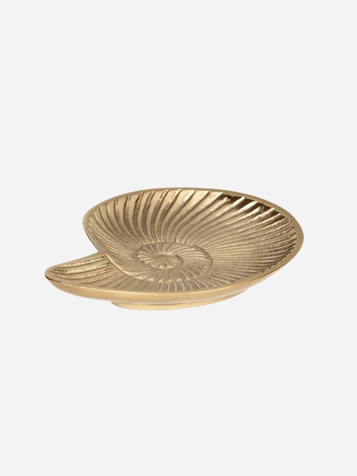 Golden Snail Tray