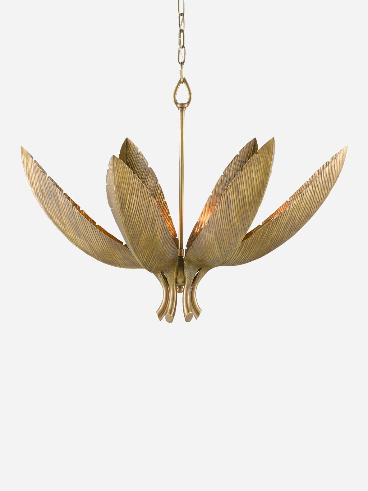 Bird of Paradise Chandelier