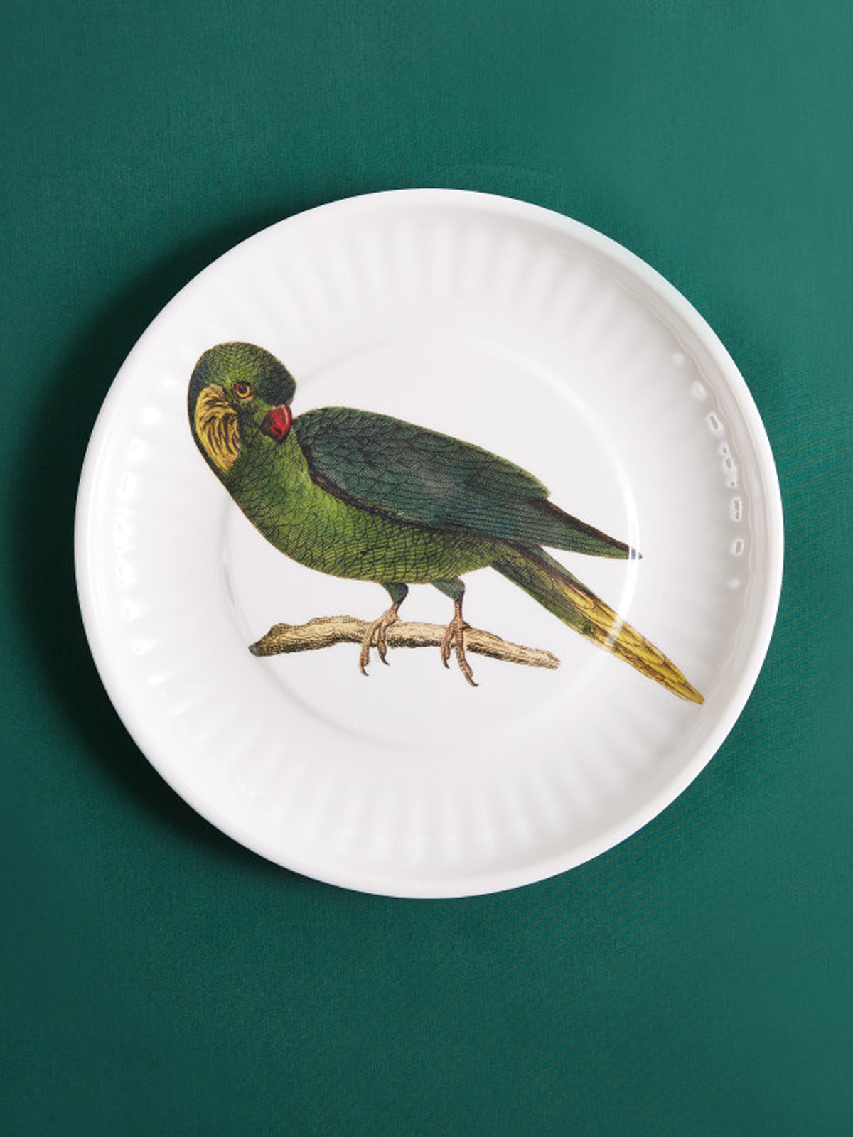 Large Parrot Plate, Set of 4