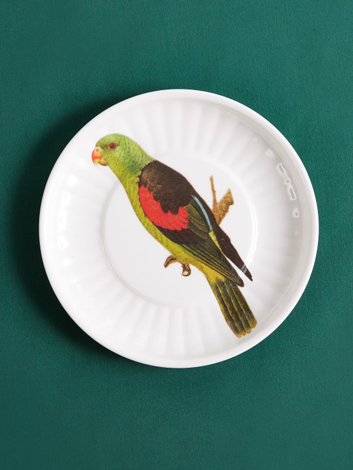 Small Parrot Plate, Set of 4