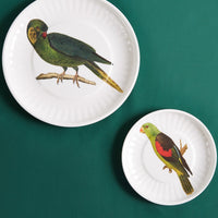 Large Parrot Plate, Set of 4