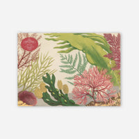 John Derian Sea Life Puzzle