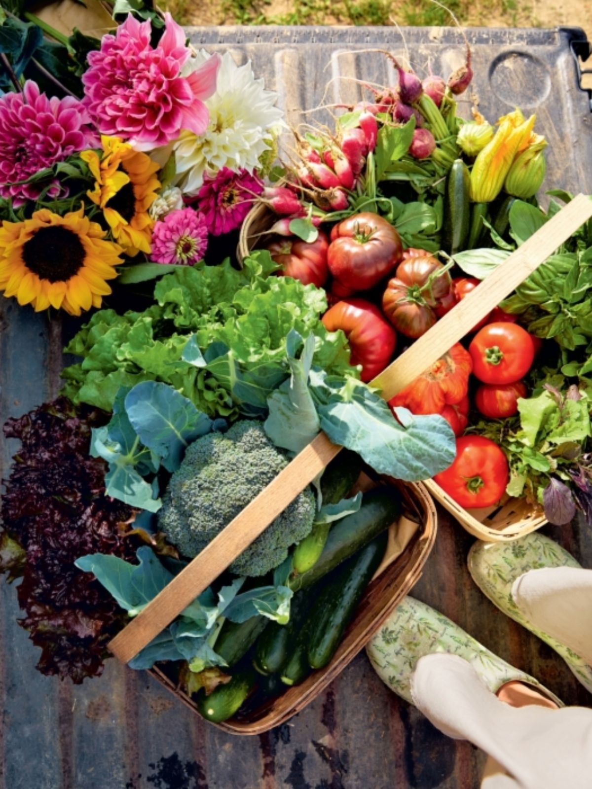 The Wishbone Kitchen Cookbook