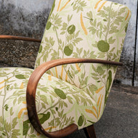Halabala Chair in Sharifa Parrot